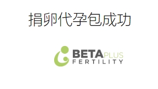 格鲁吉亚Gagua医院代生孕价格套餐